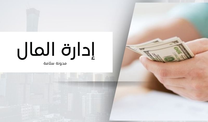 إدارة المال (الجزء الأول) 2024 - الانظمة الامنية